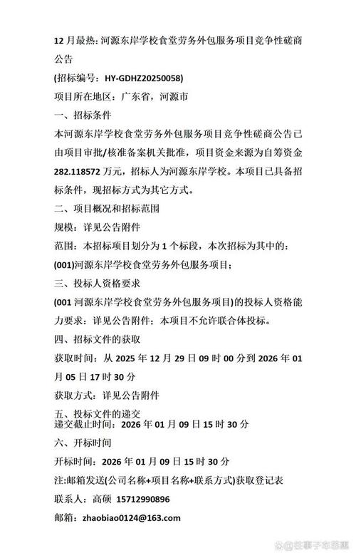12月最熱:河源東岸學(xué)校食堂勞務(wù)外包服務(wù)項(xiàng)目競爭性磋商公告